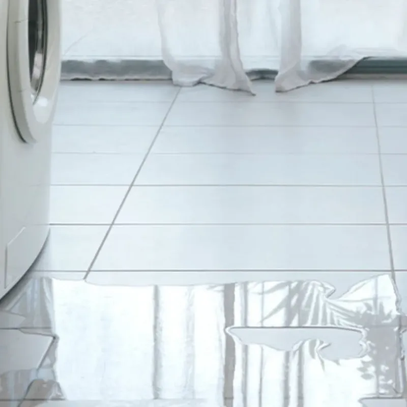 Appliance Leak Cleanup in Mount Morris, MI