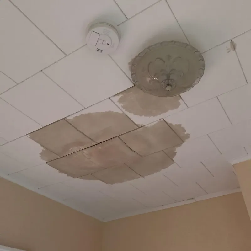 Ceiling Water Damage Repair in Mount Morris, MI