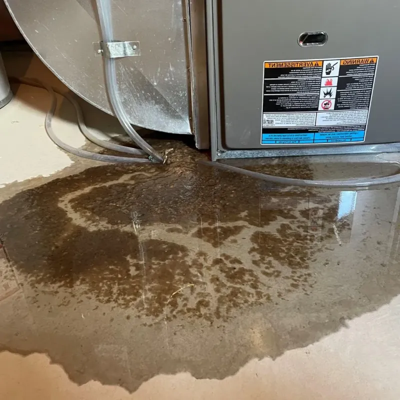 Pipe Burst and Leak Restoration in Mount Morris, MI