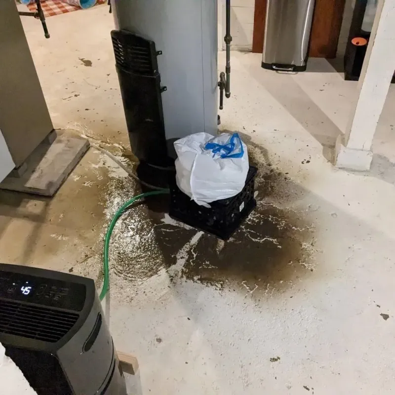 Sewage Backup Cleanup Service in Mount Morris, MI